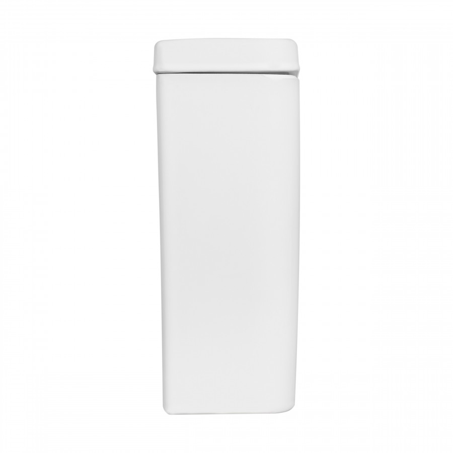 НЕО Бачок для унитаза без арматуры с крышкой. САНТЕК