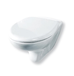 Унитаз «Элеганс» подвесной с сиденьем микролифт, инсталляция DI с хром панелью (2 кнопки),ROSA